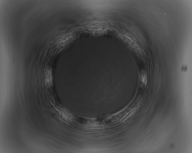 X0000100871252200806201232