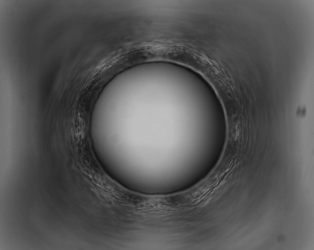 X0000100871253200806201232