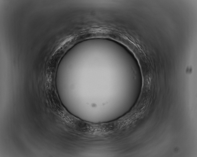 X0000100871254200806201232