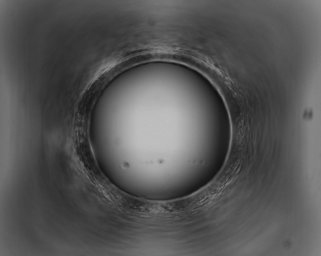 X0000100871255200806201232
