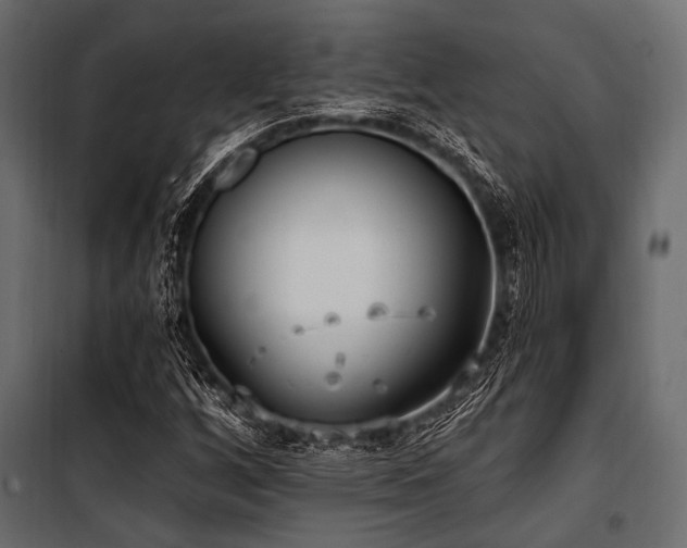 X0000100871256200806201232