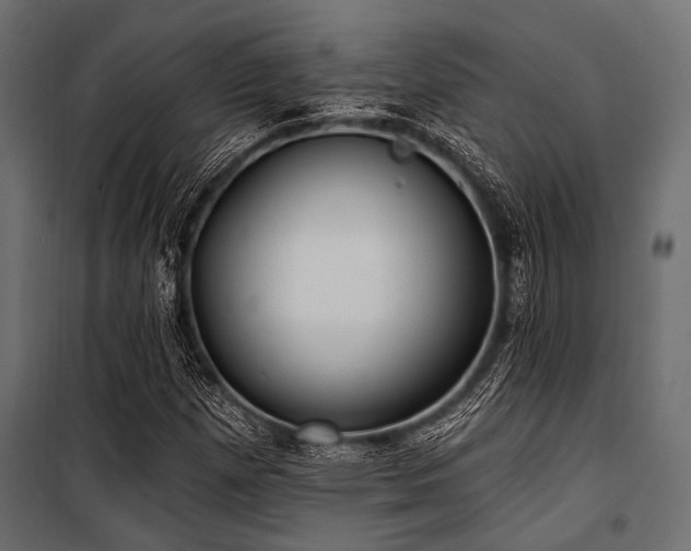 X0000100871257200806201232