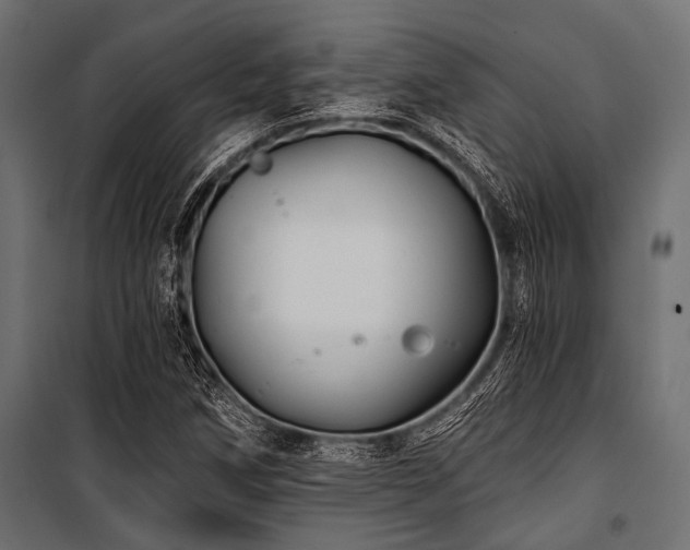 X0000100871258200806201232