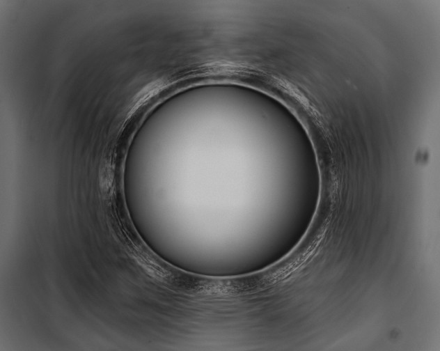 X0000100871259200806201232