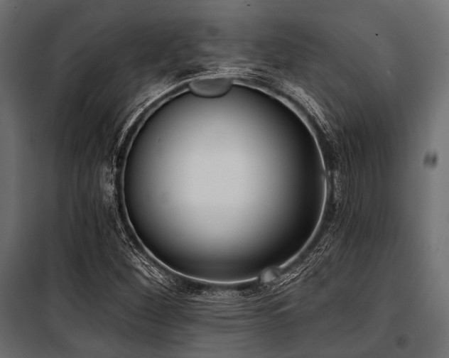 X0000100871260200806201232