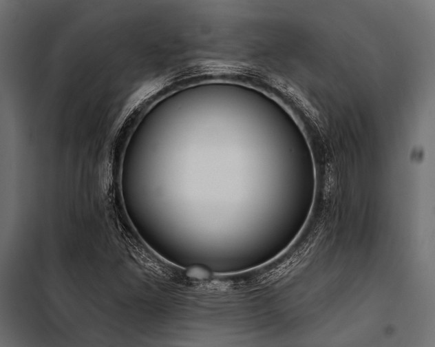X0000100871261200806201232