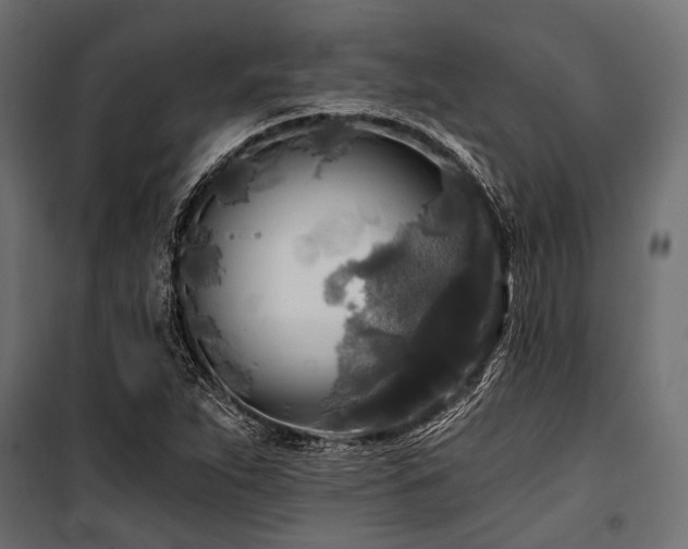 X0000100871263200806201232