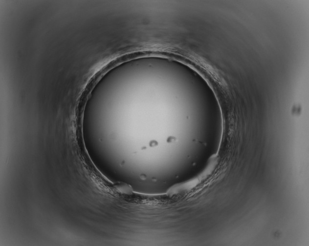 X0000100871264200806201232