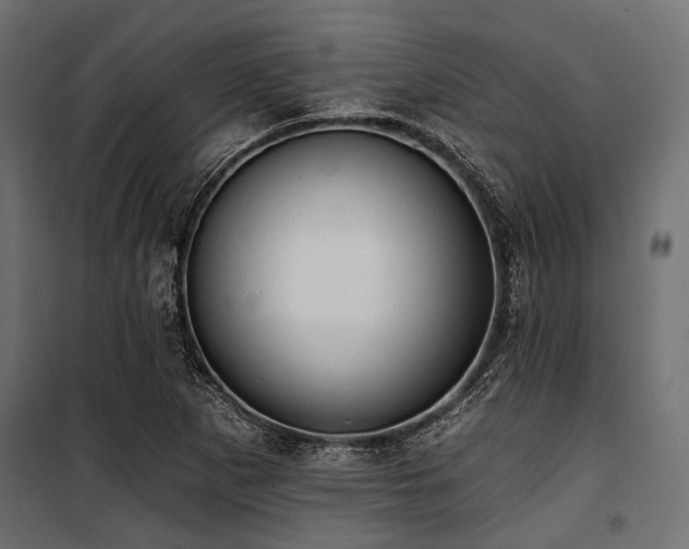 X0000100871265200806201232