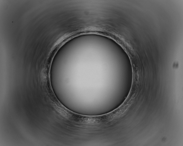 X0000100871266200806201232