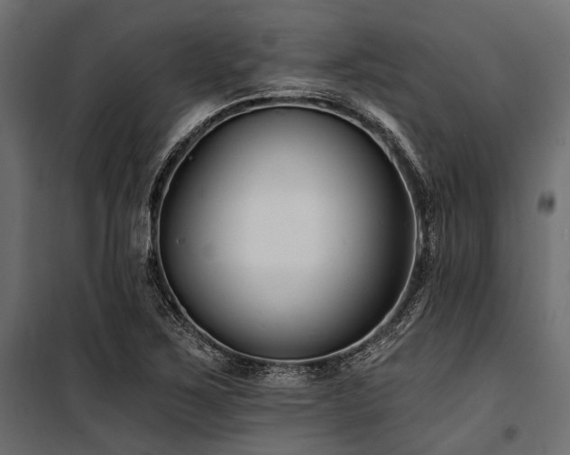 X0000100871267200806201232
