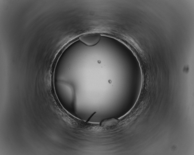 X0000100871268200806201232