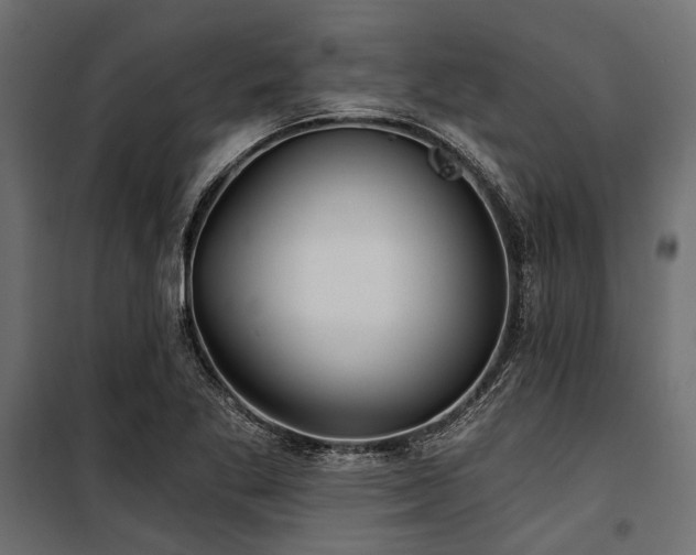 X0000100871269200806201232