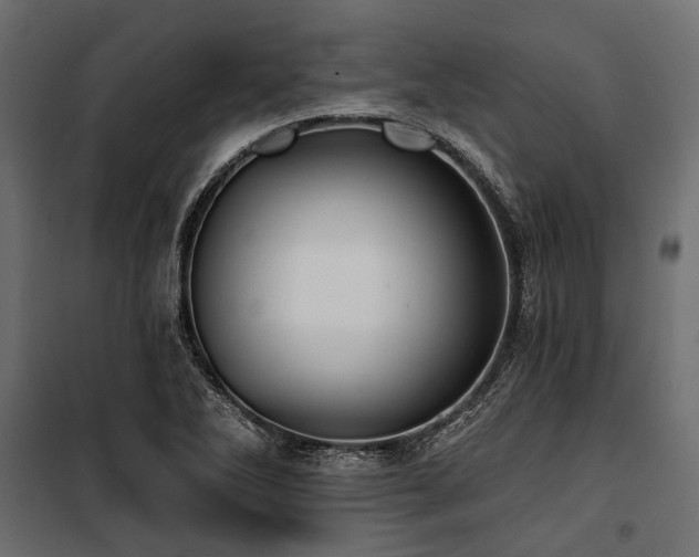 X0000100871270200806201232