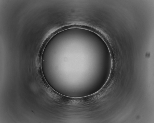 X0000100871271200806201232