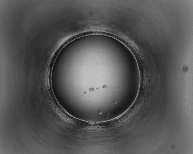 X0000100871272200806201232