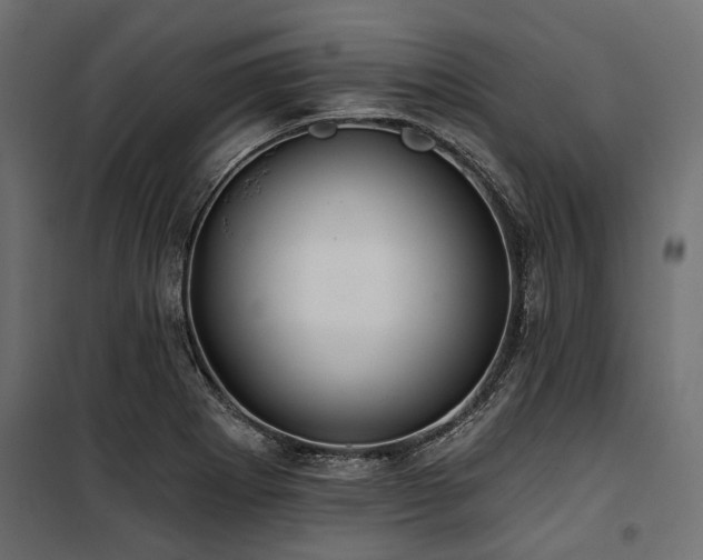 X0000100871273200806201232