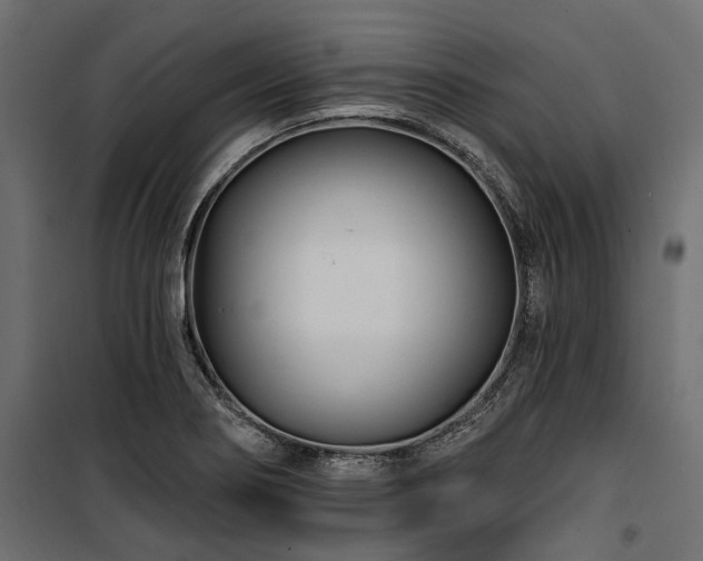 X0000100871274200806201232