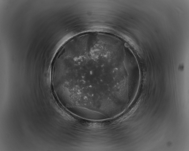 X0000100871275200806201232