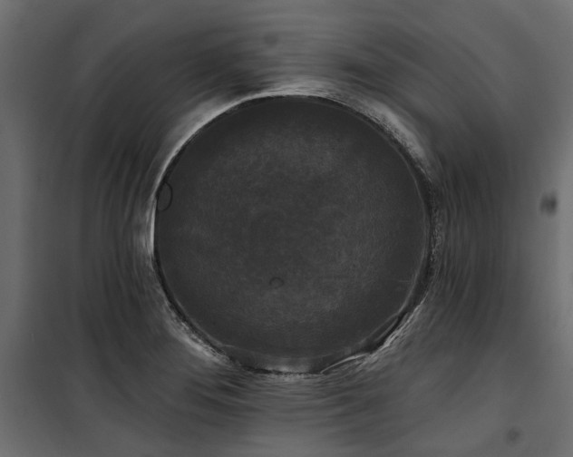 X0000100871276200806201232