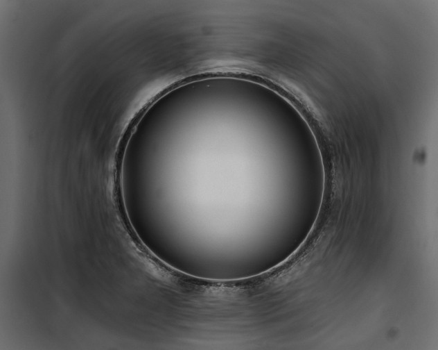 X0000100871277200806201232