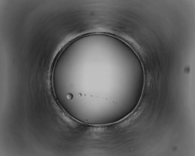 X0000100871278200806201232