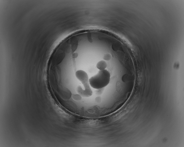 X0000100871279200806201232