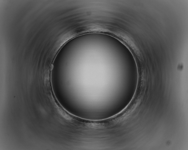 X0000100871281200806201232