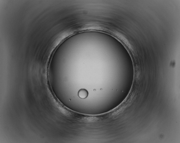 X0000100871282200806201232