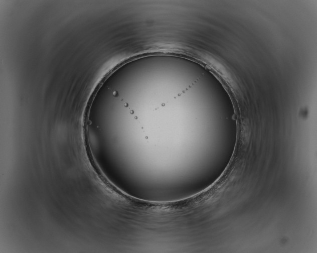 X0000100871283200806201232