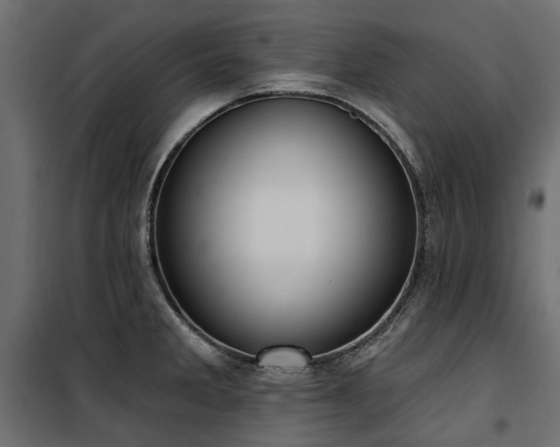X0000100871285200806201231