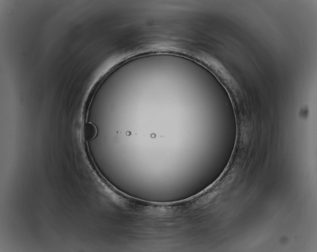 X0000100871286200806201231
