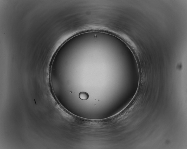 X0000100871287200806201231