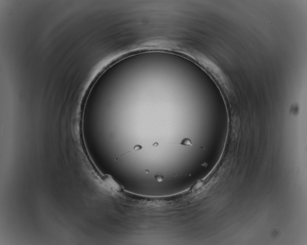 X0000100871288200806201231