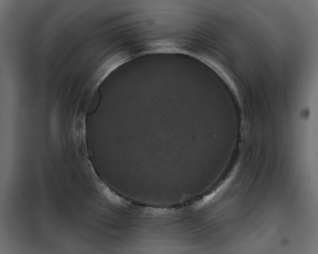 X0000100871289200806201231