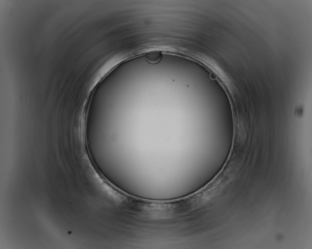 X0000100871290200806201231