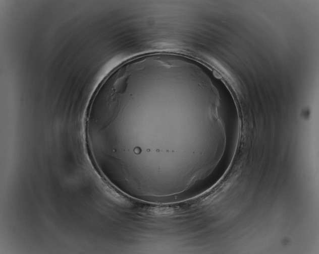 X0000100871291200806201231