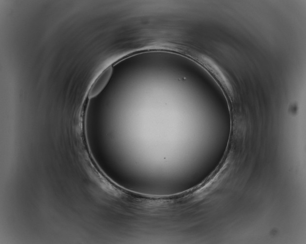 X0000100871292200806201231
