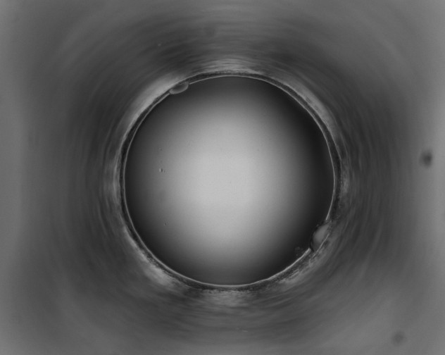 X0000100871293200806201231