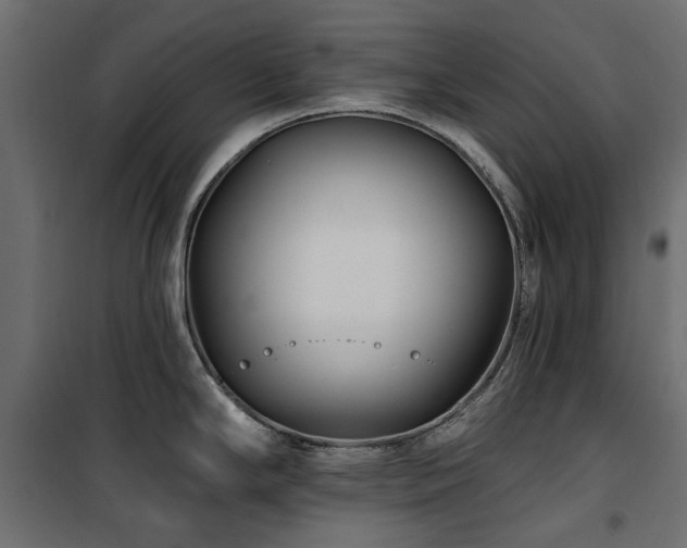 X0000100871294200806201231