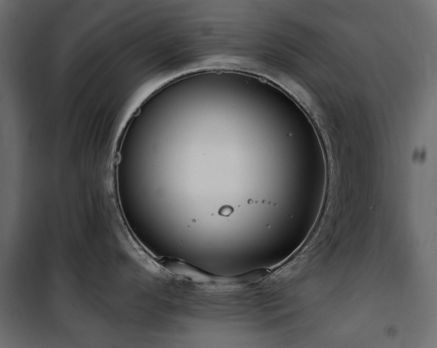 X0000100871296200806201231