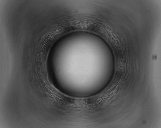 X0000100871297200806201231
