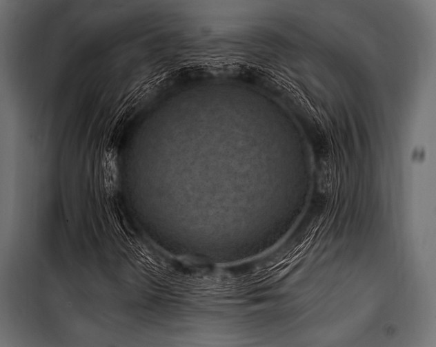 X0000100871298200806201231