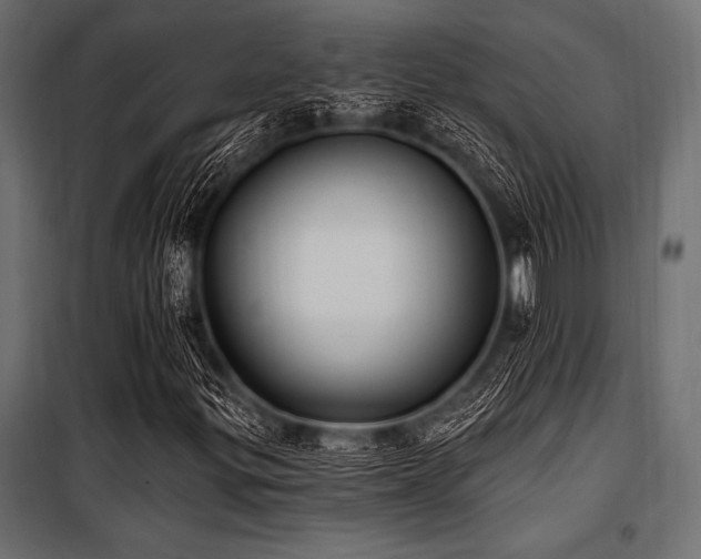 X0000100871299200806201231