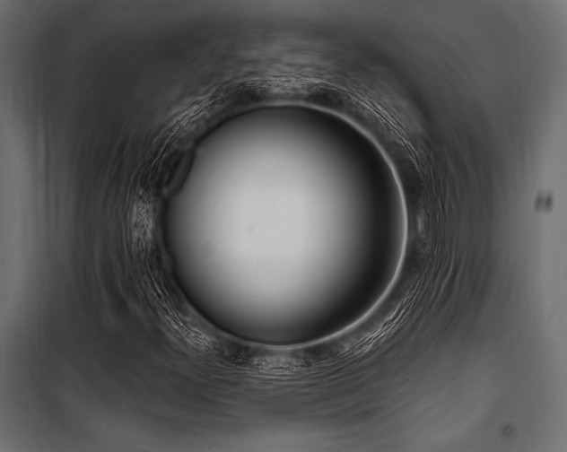 X0000100871300200806201231