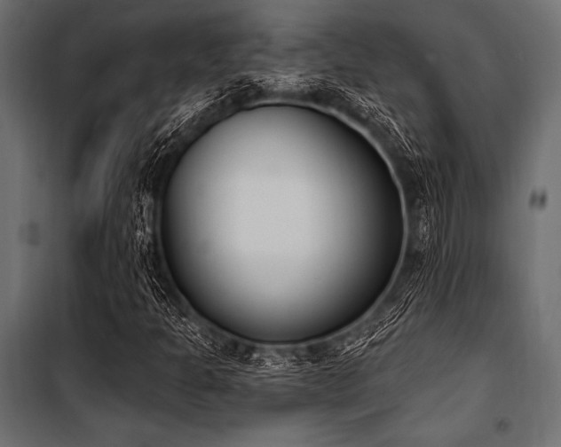 X0000100871301200806201231