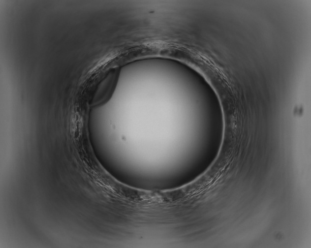 X0000100871302200806201231