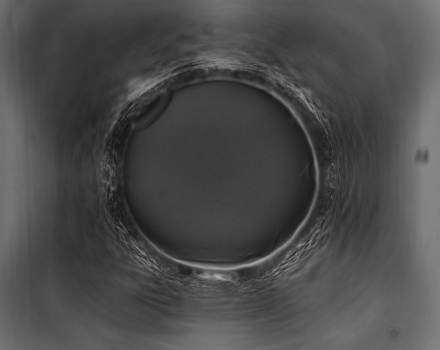 X0000100871303200806201231