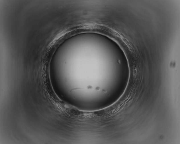 X0000100871304200806201231