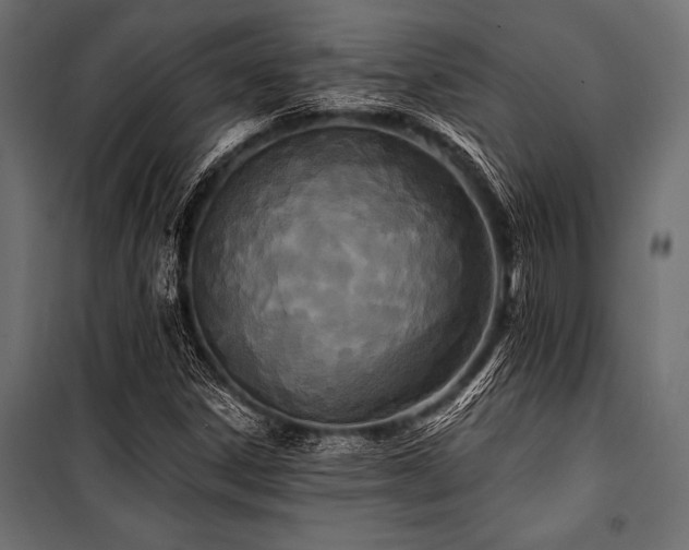 X0000100871306200806201231